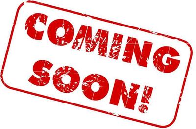 Ducati Multistrada 1100 (2006 - 09) usata