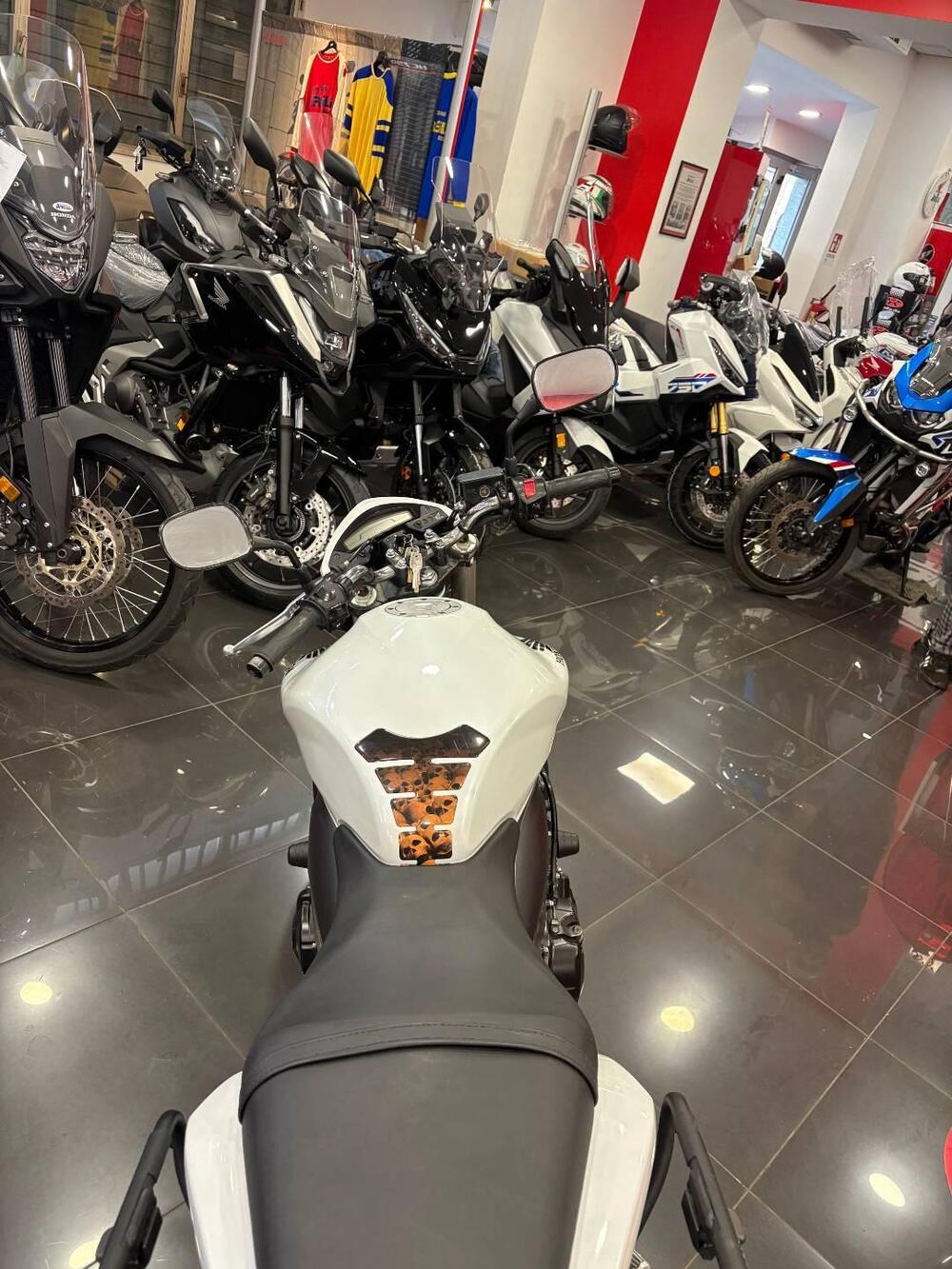 Honda Hornet 600 (2011 - 13) (2)