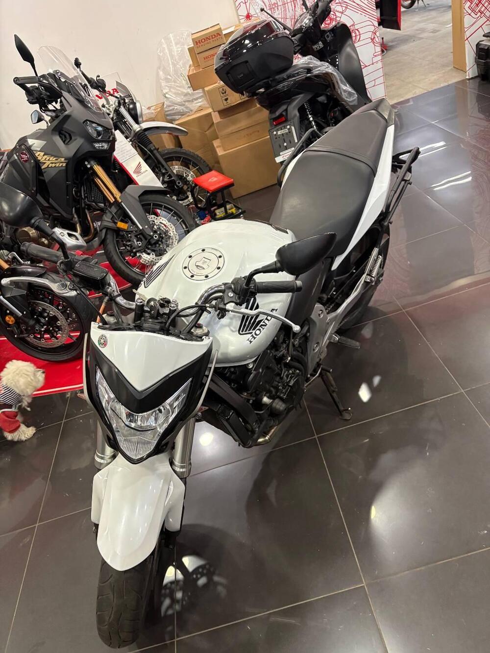 Honda Hornet 600 (2011 - 13) (4)