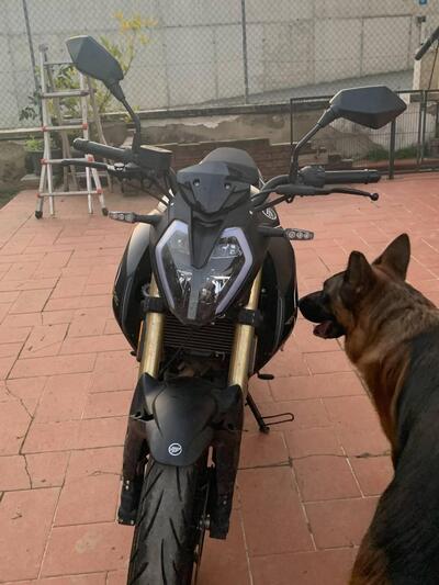 Keeway Motor RKF 125 (2021 - 24) usata