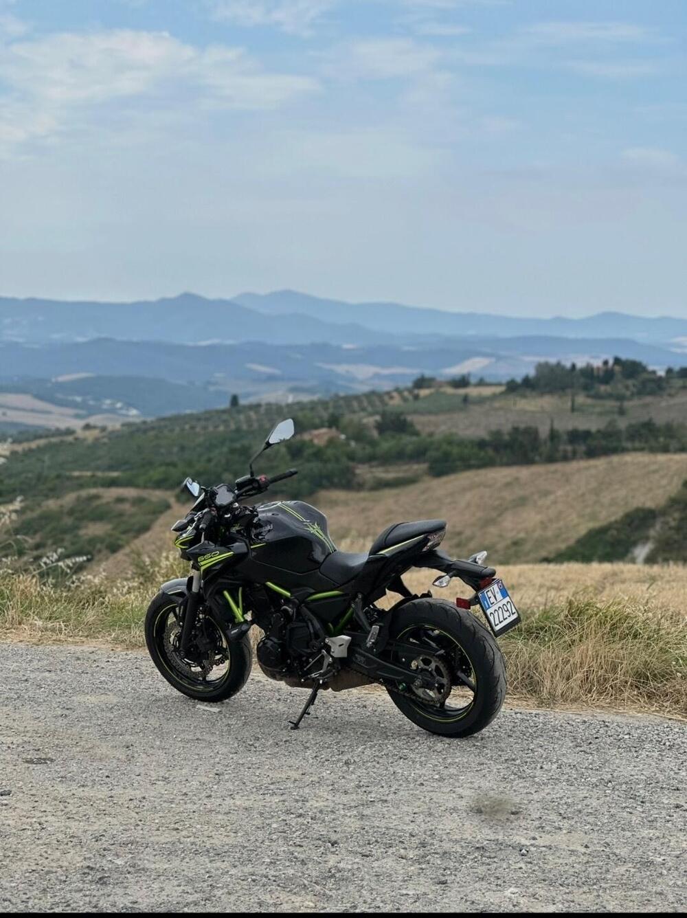Kawasaki Z 650 Performance (2020) (2)