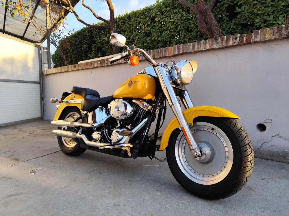 Harley-Davidson 1450 Fat Boy (1999 - 02) - FLSTF (6)