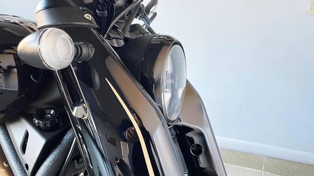 Benda Motorcycles Napoleon Bob 500 (2024 - 26) (11)