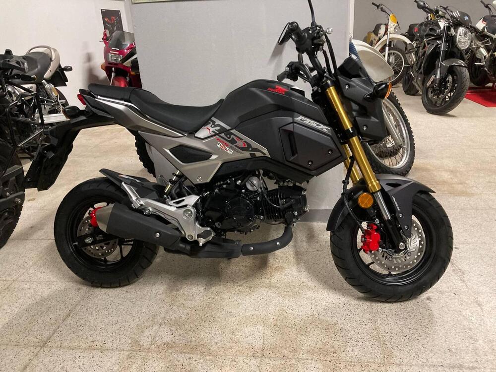 Honda MSX 125 (2018 - 20) (2)