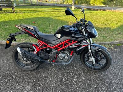 Benelli BN 125 (2021 - 25) usata