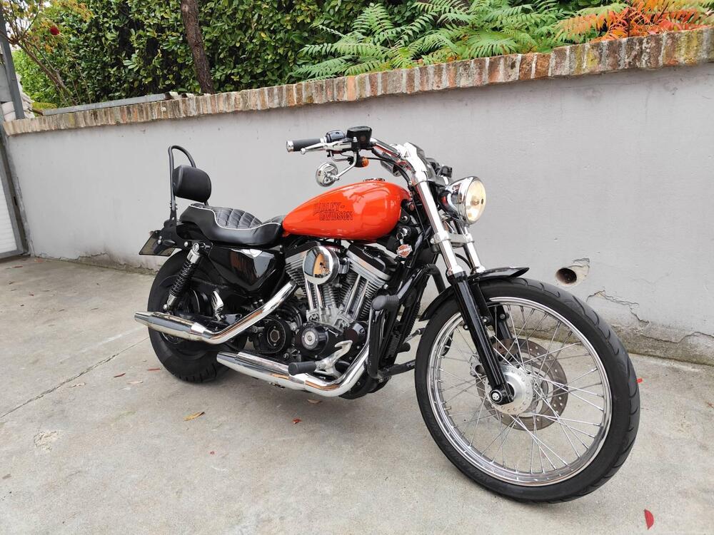 Harley-Davidson 883 Custom (2001 - 05) - XL 53C (5)