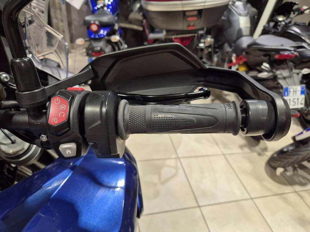 Triumph Tiger 1200 GT Pro (2022 - 23) (14)