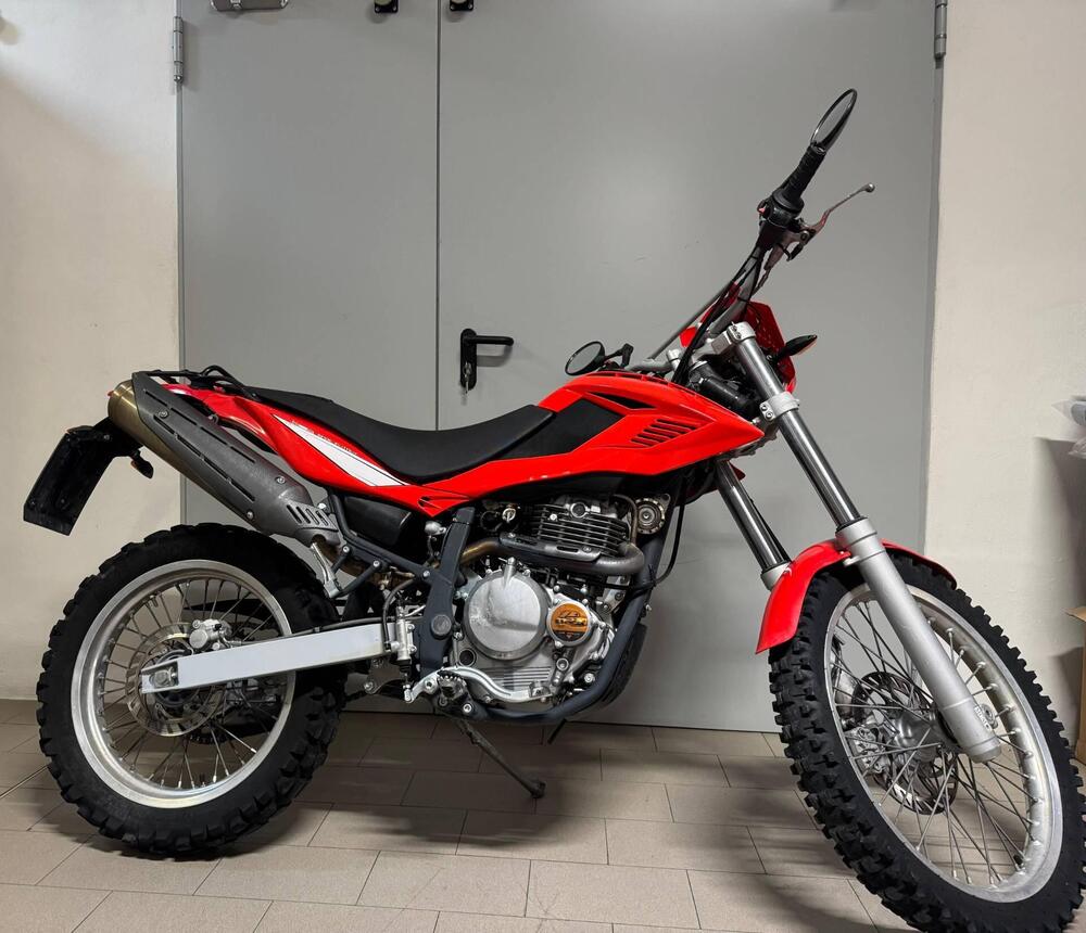 Betamotor Alp 4.0 (2008 - 17)