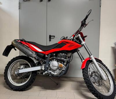 Betamotor Alp 4.0 (2008 - 17) usata