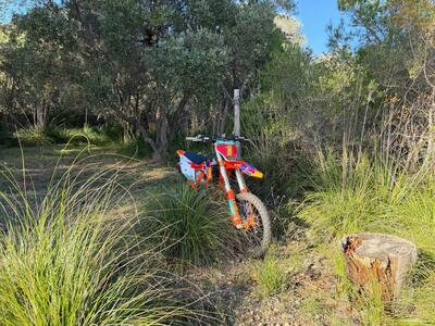 KTM 450 SX-F Factory (2020) usata