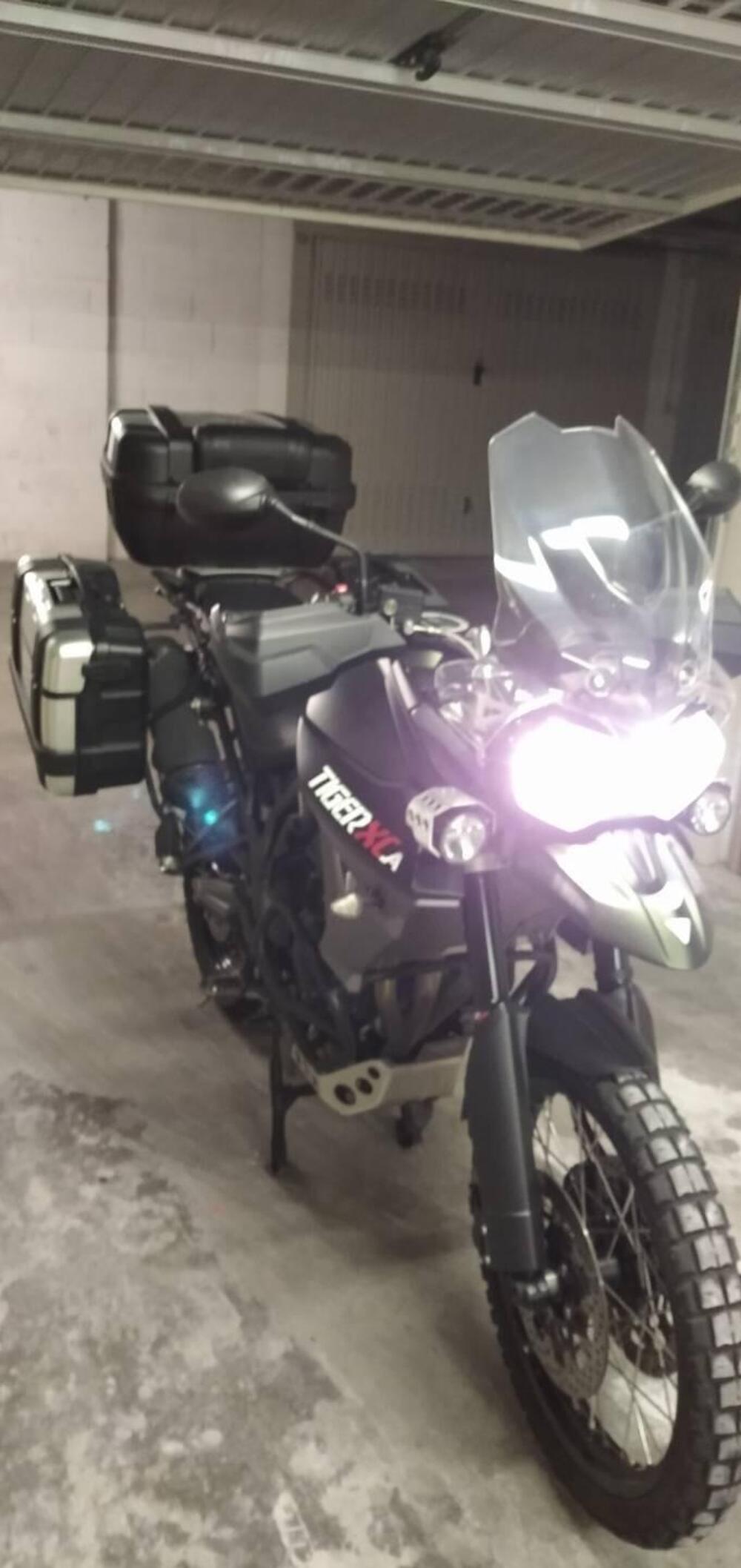 Triumph Tiger 800 XCa (2015 - 17)