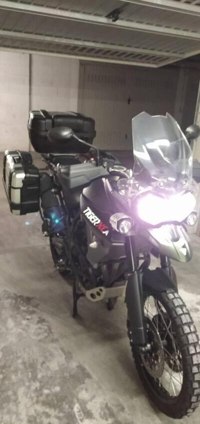 Triumph Tiger 800 XCa (2015 - 17) usata