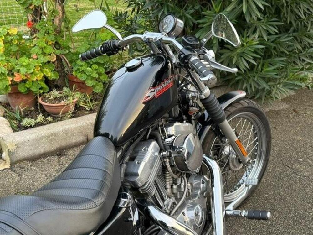 Harley-Davidson 883 (2006 - 07) - XL (3)