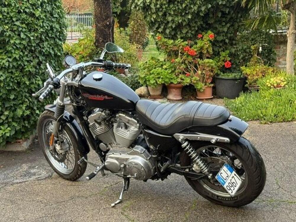 Harley-Davidson 883 (2006 - 07) - XL (5)