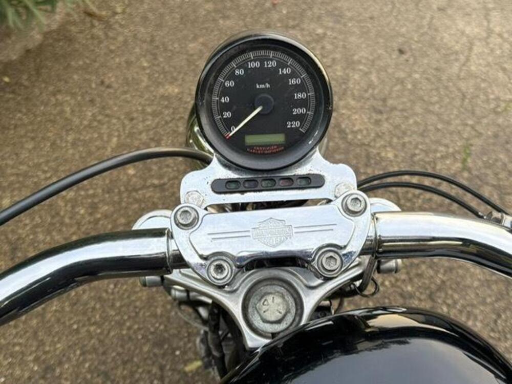 Harley-Davidson 883 (2006 - 07) - XL (7)