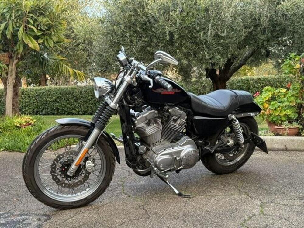 Harley-Davidson 883 (2006 - 07) - XL (11)