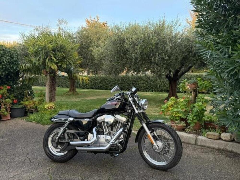 Harley-Davidson 883 (2006 - 07) - XL (13)