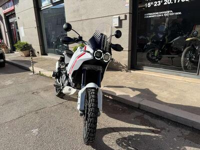 Ducati DesertX (2022 - 25) usata