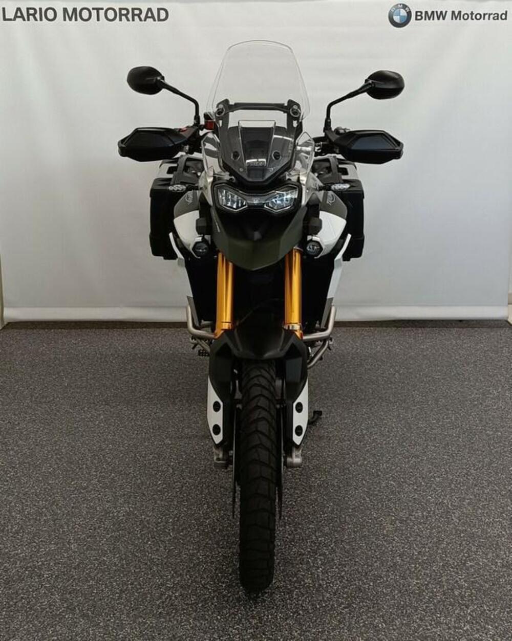 Triumph Tiger 900 Rally Pro (2020 - 23) (3)