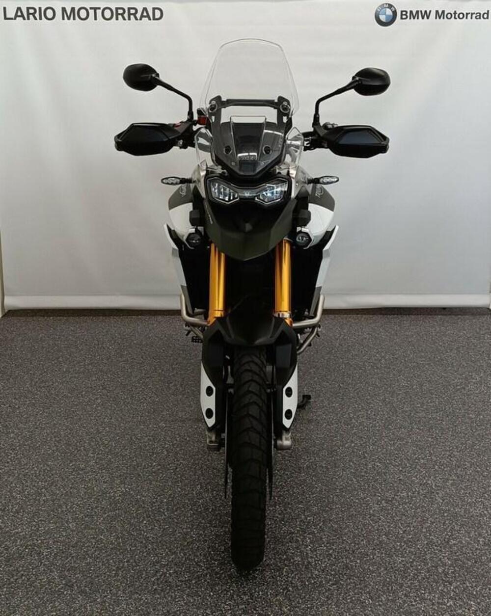 Triumph Tiger 900 Rally Pro (2020 - 23) (4)