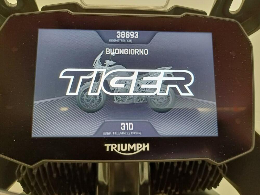 Triumph Tiger 900 Rally Pro (2020 - 23) (13)
