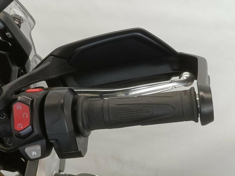 Triumph Tiger 900 Rally Pro (2020 - 23) (12)