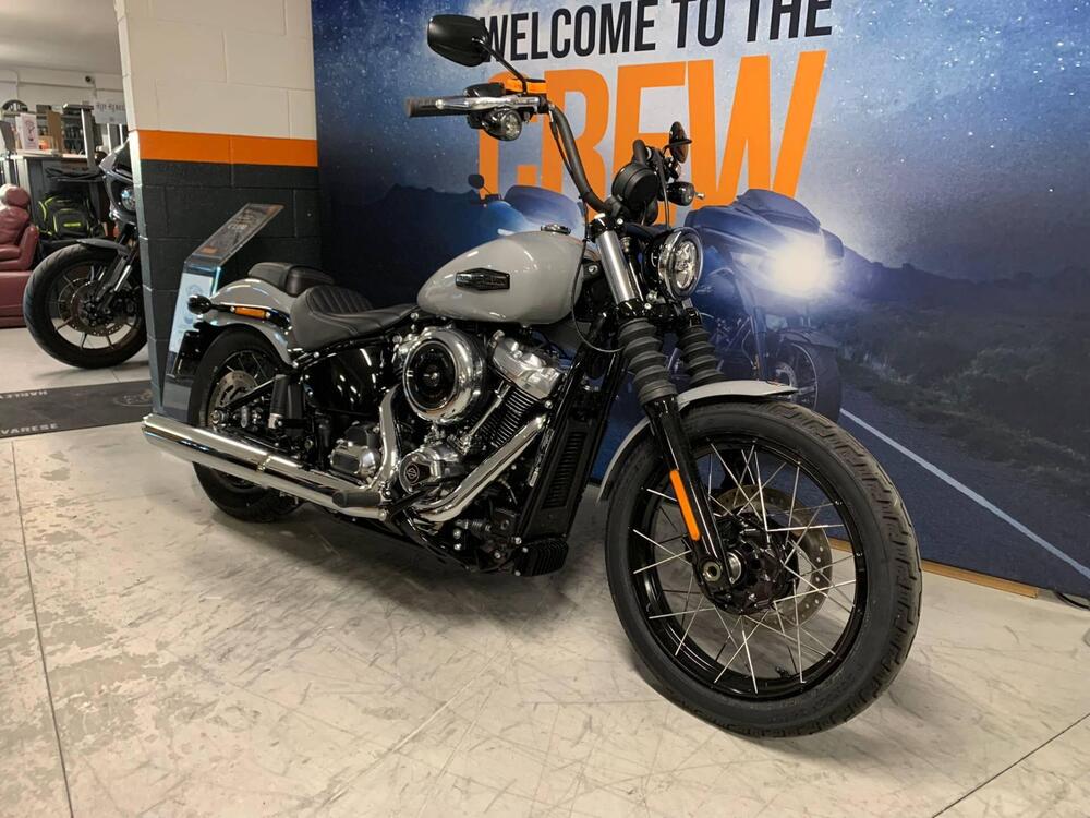 Harley-Davidson Street Bob 117 (2025 - 26)
