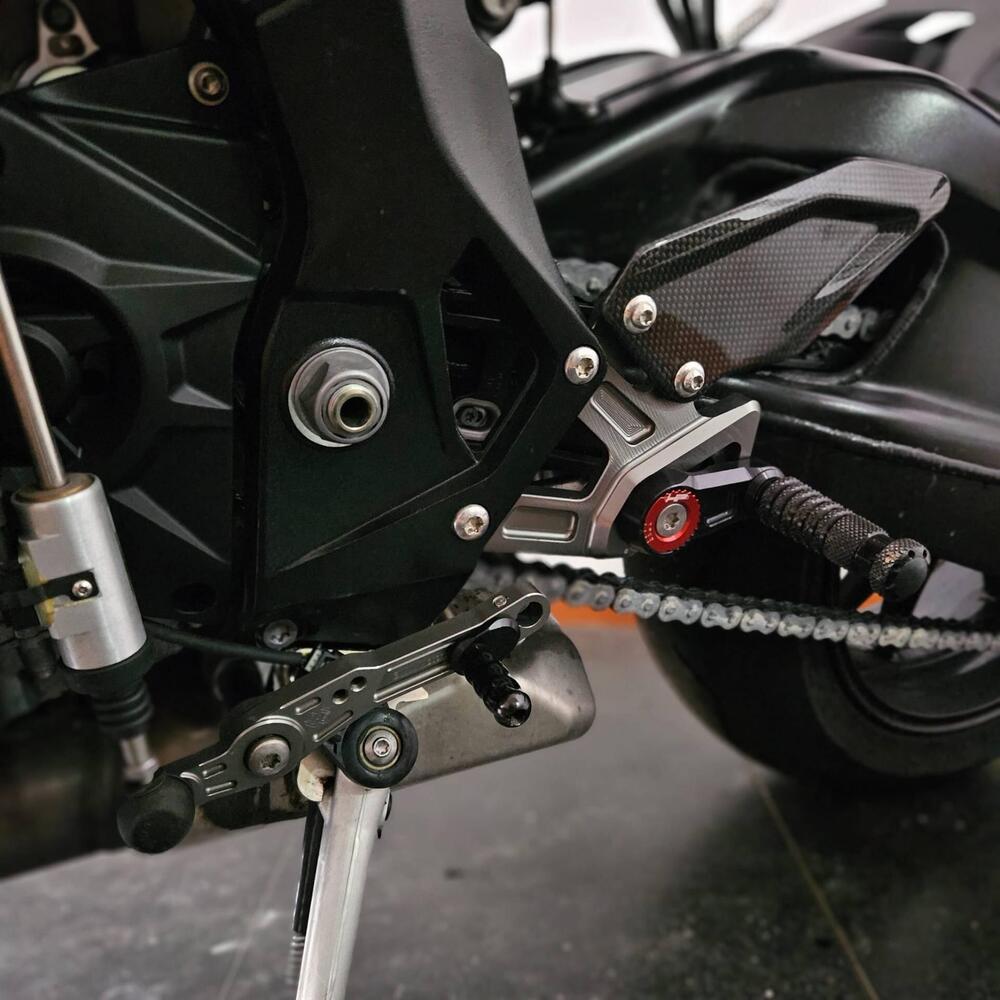 Bmw S 1000 R (2017 - 20) (6)