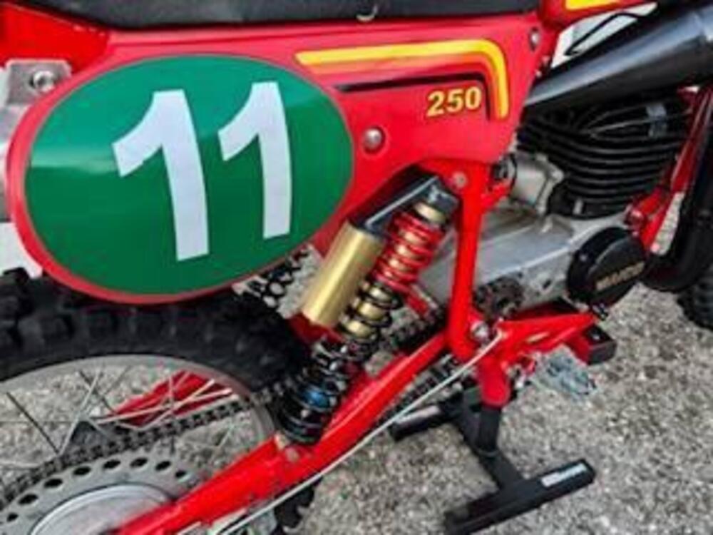Maico mc 250 (3)