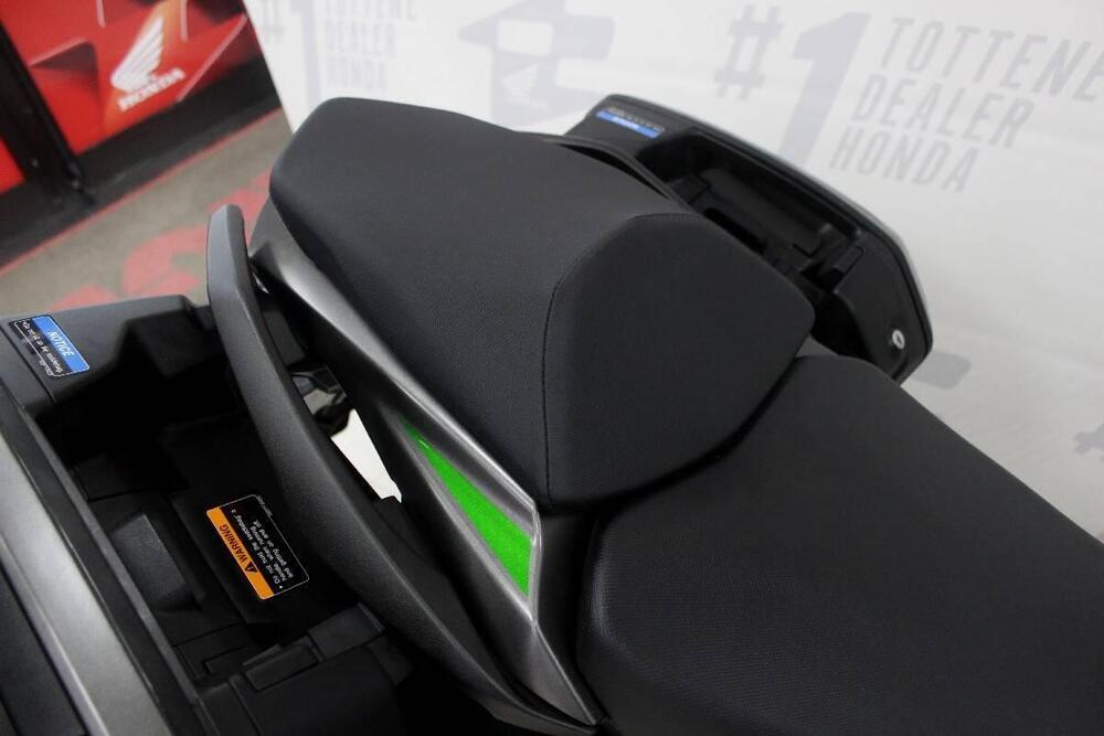 Kawasaki Ninja 1000 SX (2021 - 24) (5)