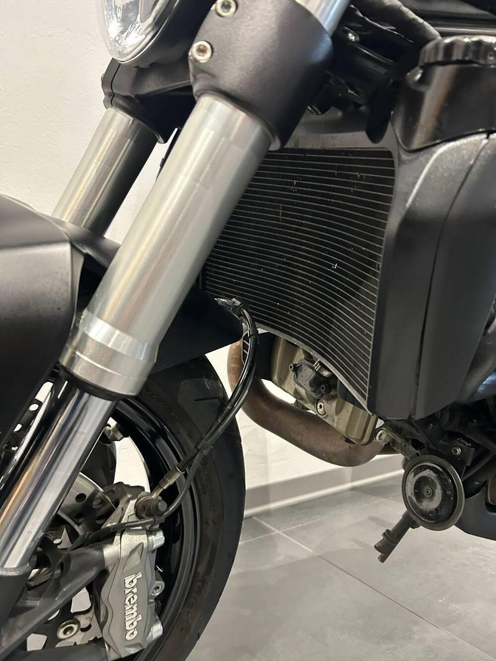 Ducati Monster 821 Dark ABS (2014 - 16) (13)