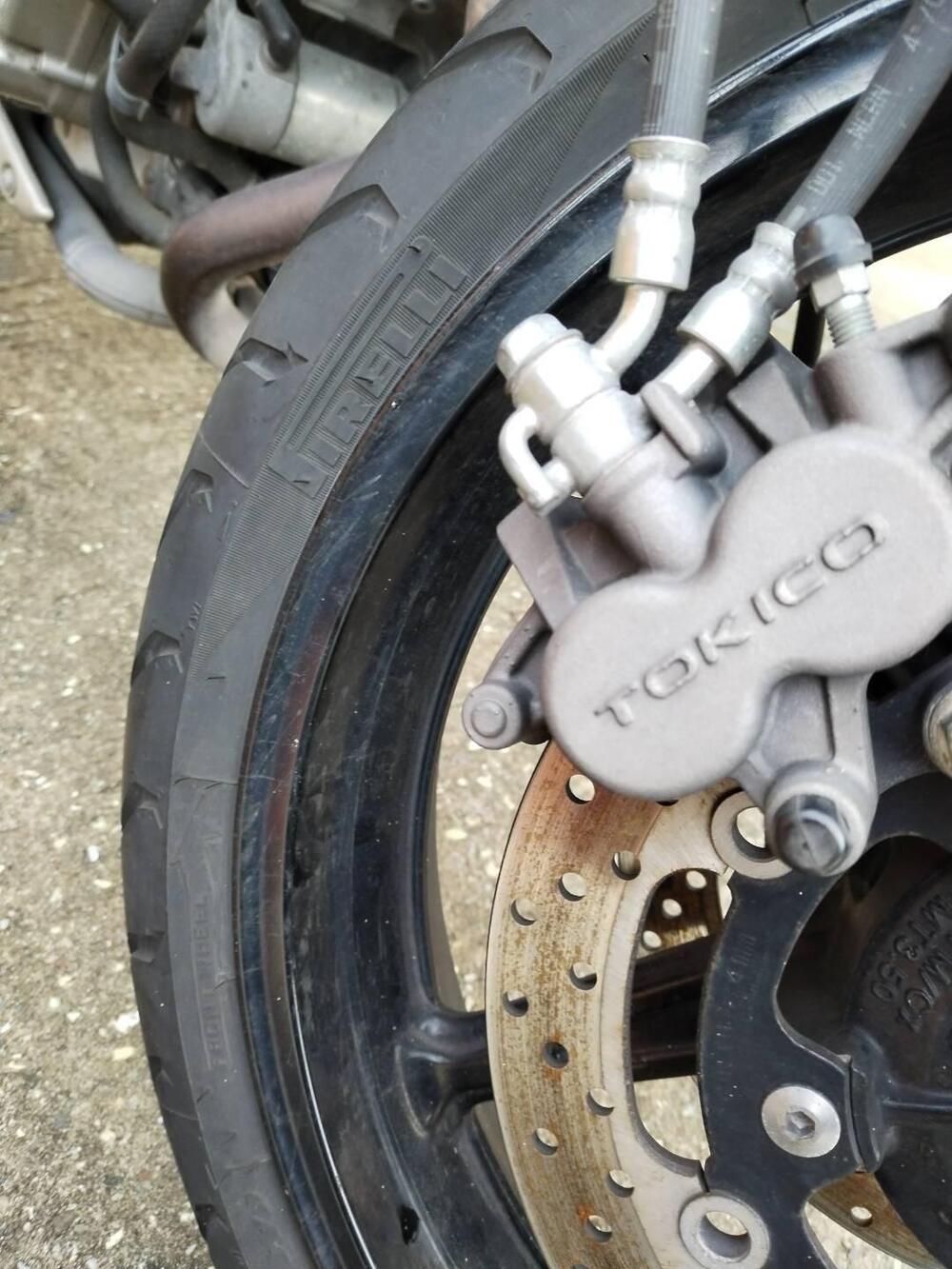 Suzuki SV 650 (2006 - 11) (10)