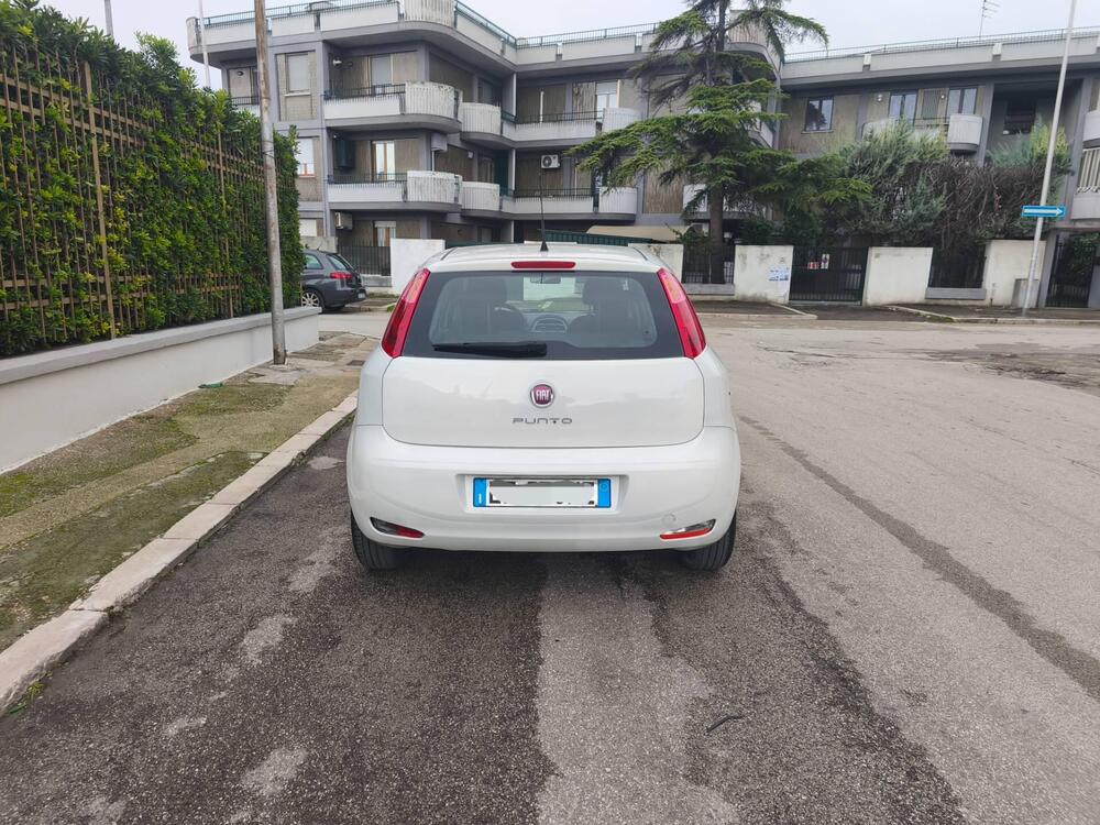Fiat Punto usata a Foggia (7)