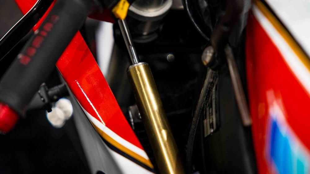 Suzuki RGV 250 GAMMA (18)