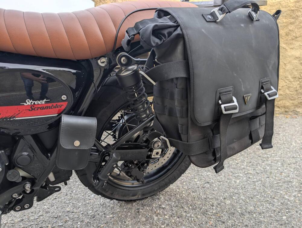 Triumph Street Scrambler 900 (2017 - 18) (6)