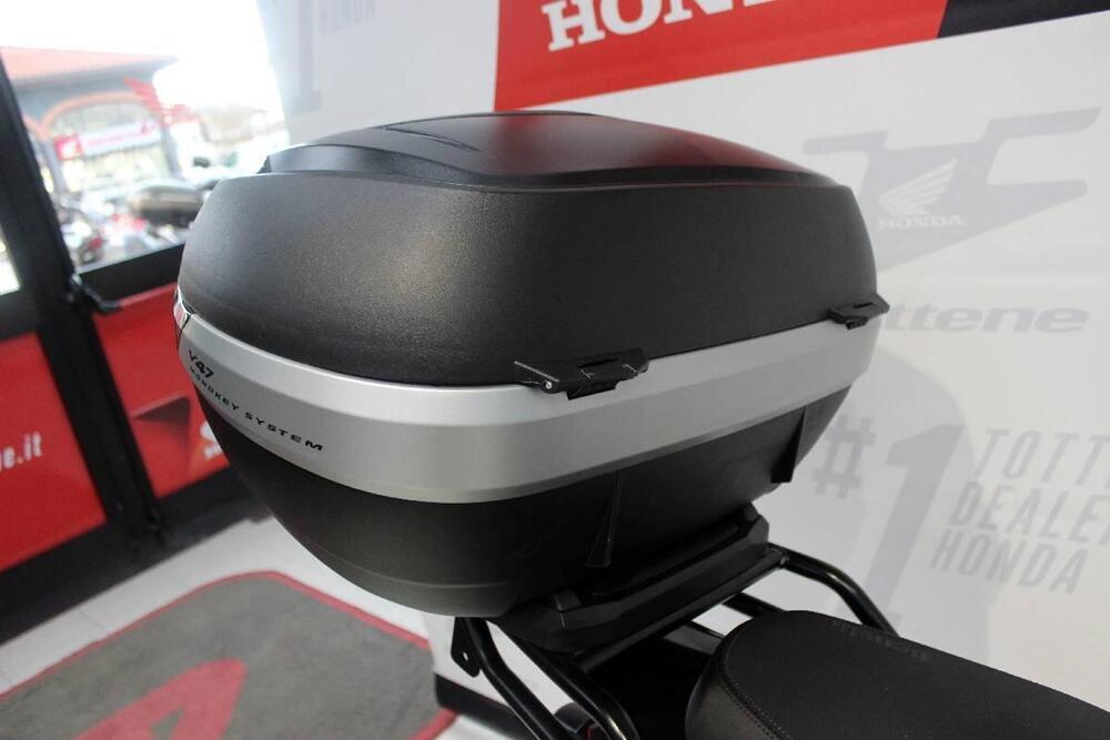 Benelli TRK 251 (2022 - 25) (5)