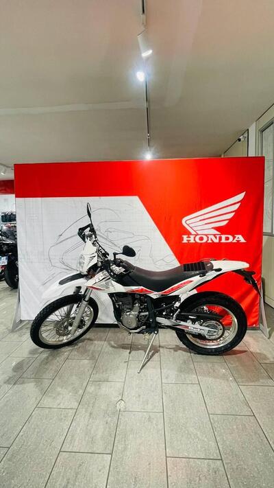 Betamotor Alp 4.0 (2008 - 17) usata