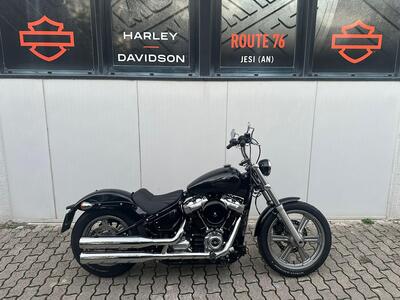 Harley-Davidson Softail Standard (2021 - 25) usata