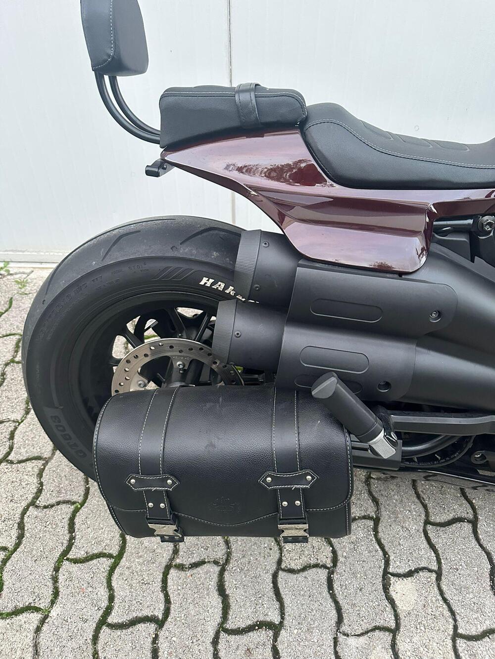 Harley-Davidson Sportster S (2022 - 24) (13)