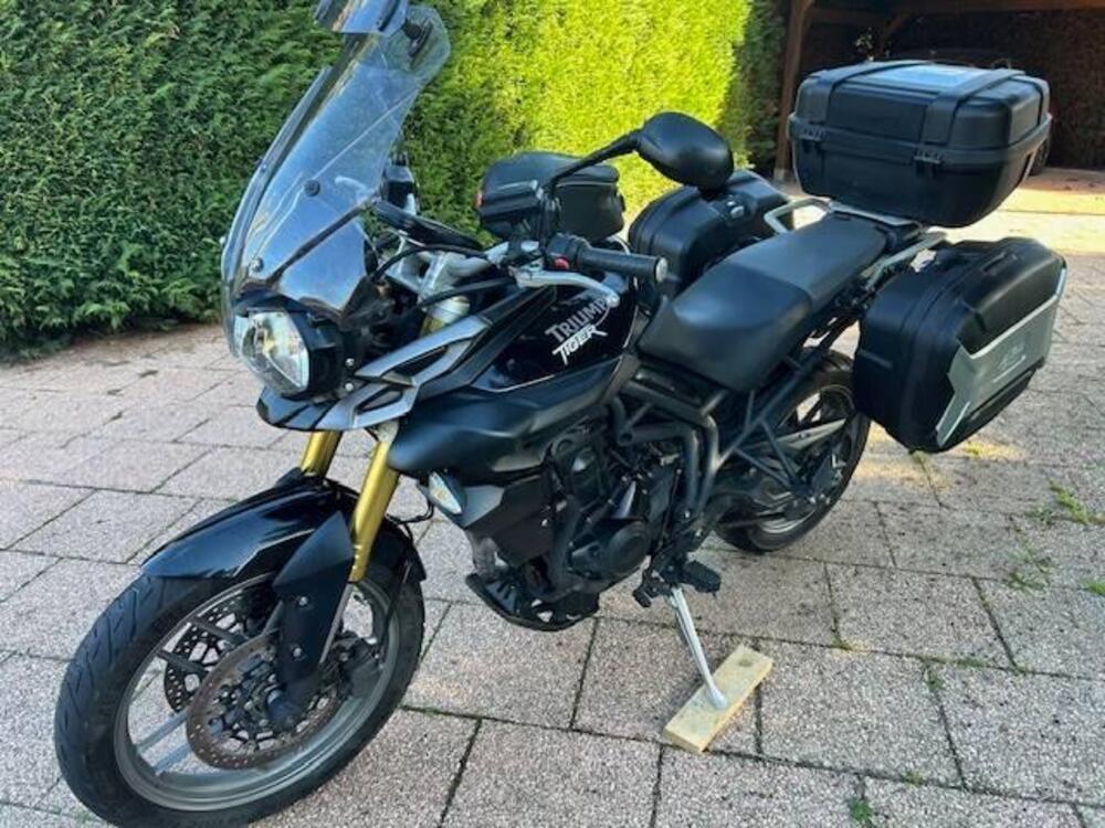 Triumph Tiger 800 XR (2015 - 17) (2)