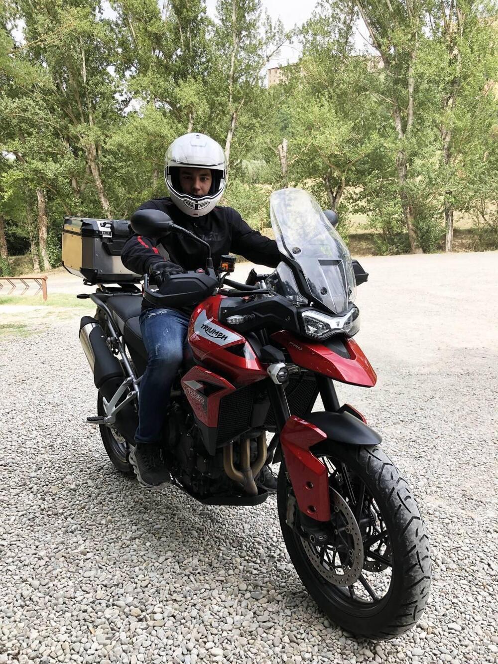 Triumph Tiger 900 GT Pro (2020 - 23) (5)