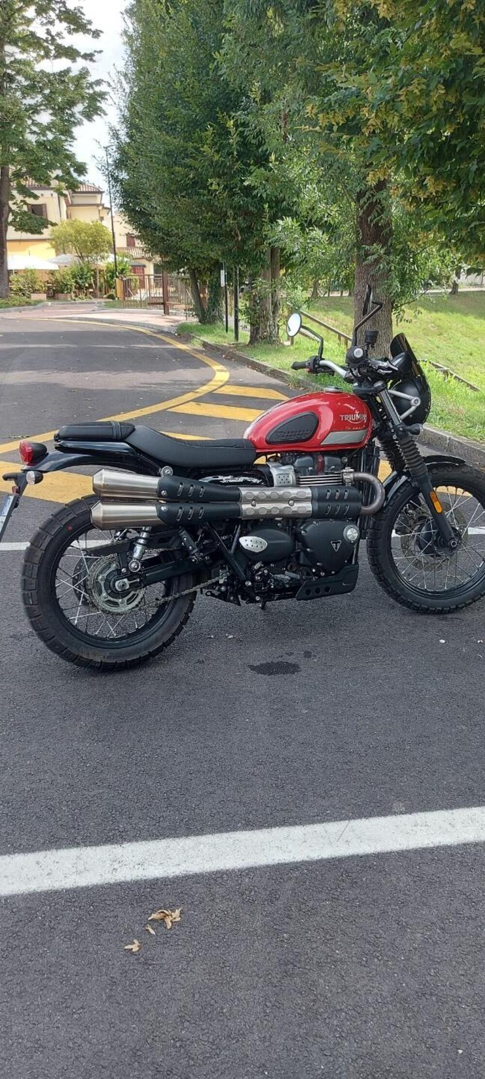 Triumph Street Scrambler 900 (2017 - 18) (2)