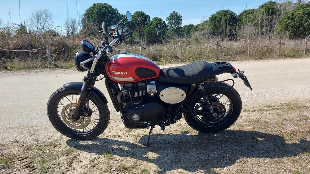 Triumph Street Scrambler 900 (2017 - 18) (4)