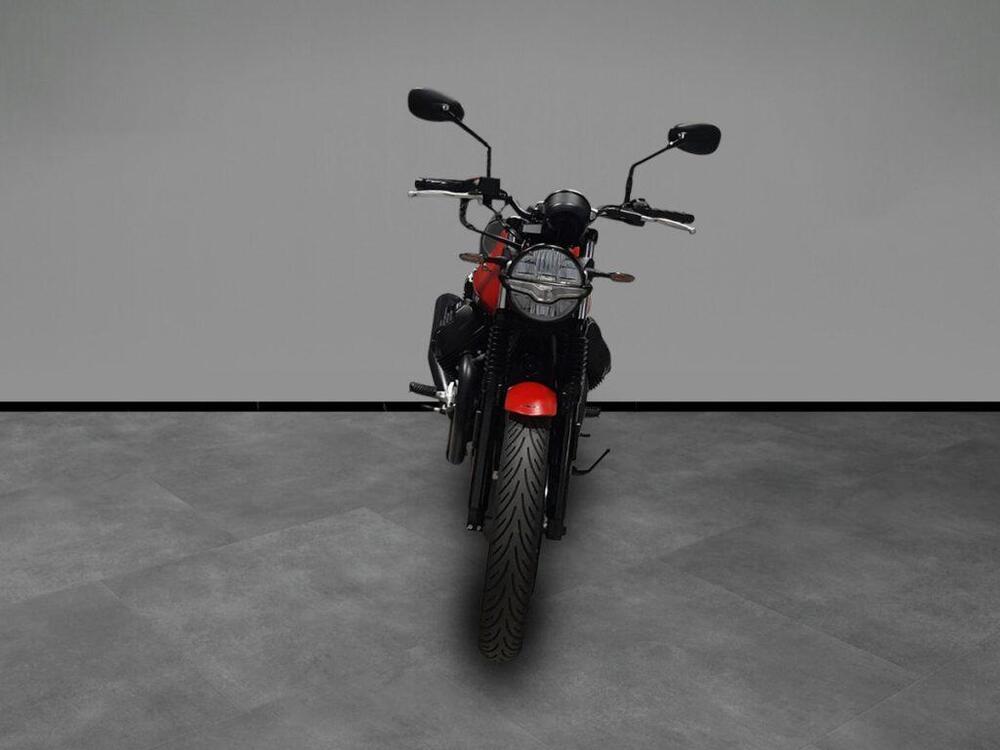 Moto Guzzi V7 Stone (2025 - 26) (3)