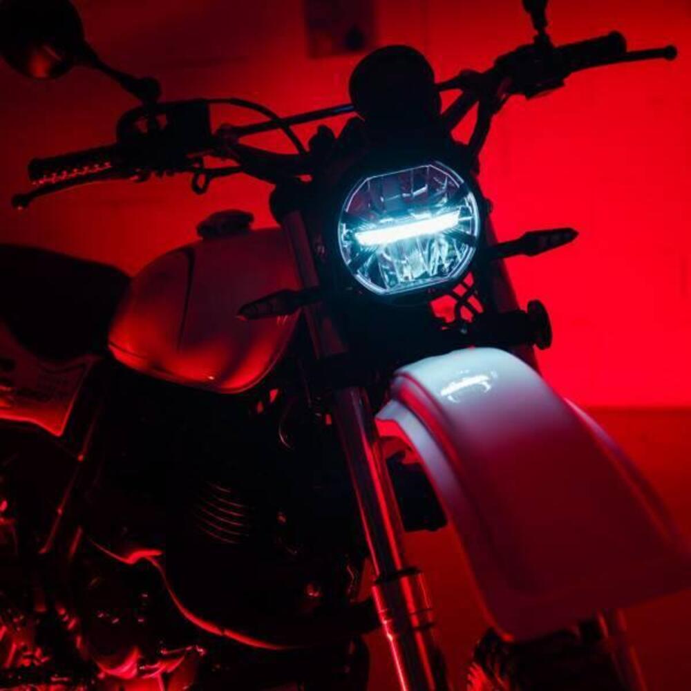 Swm Silver Vase 650 T (2025 - 26) (10)