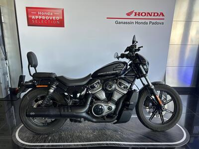 Harley-Davidson Nightster (2023 - 25) usata