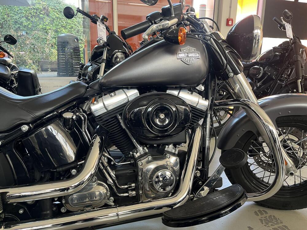 Harley-Davidson 1690 Slim (2011 - 16) - FLS (2)