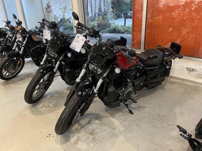 Harley-Davidson Nightster (2023 - 25) usata