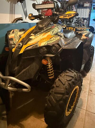 Can-Am Brp Renegade 800 EFI usata