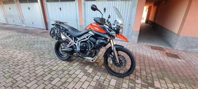 Triumph Tiger 800 XC (2011 - 12) usata